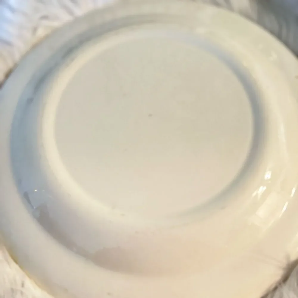 Vintage Blue and White Transferware Plate by Willow Ware Royal China 10.25 inche